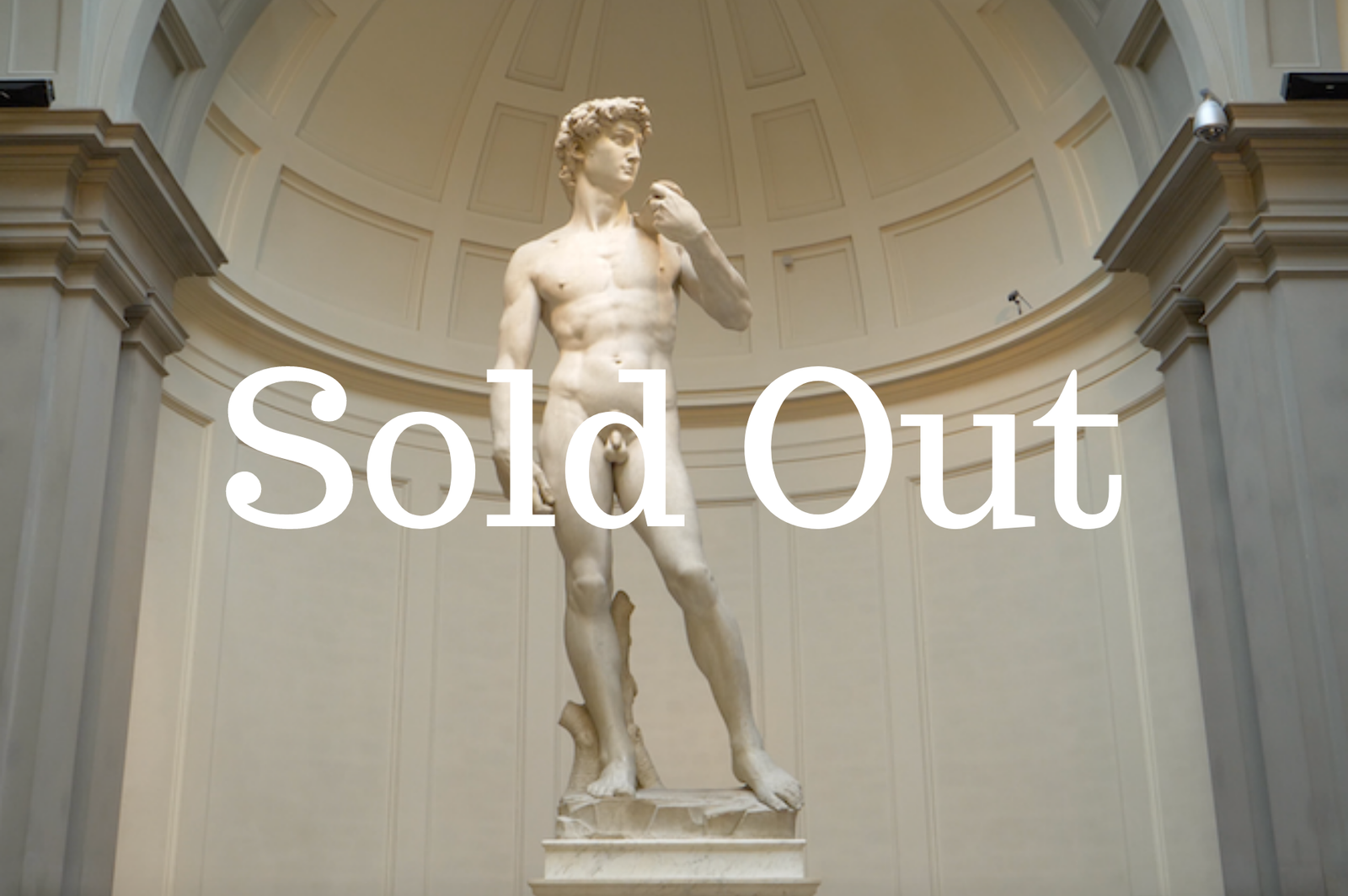 FREE WEBINAR | "Florence: Masterpieces of the Accademia"