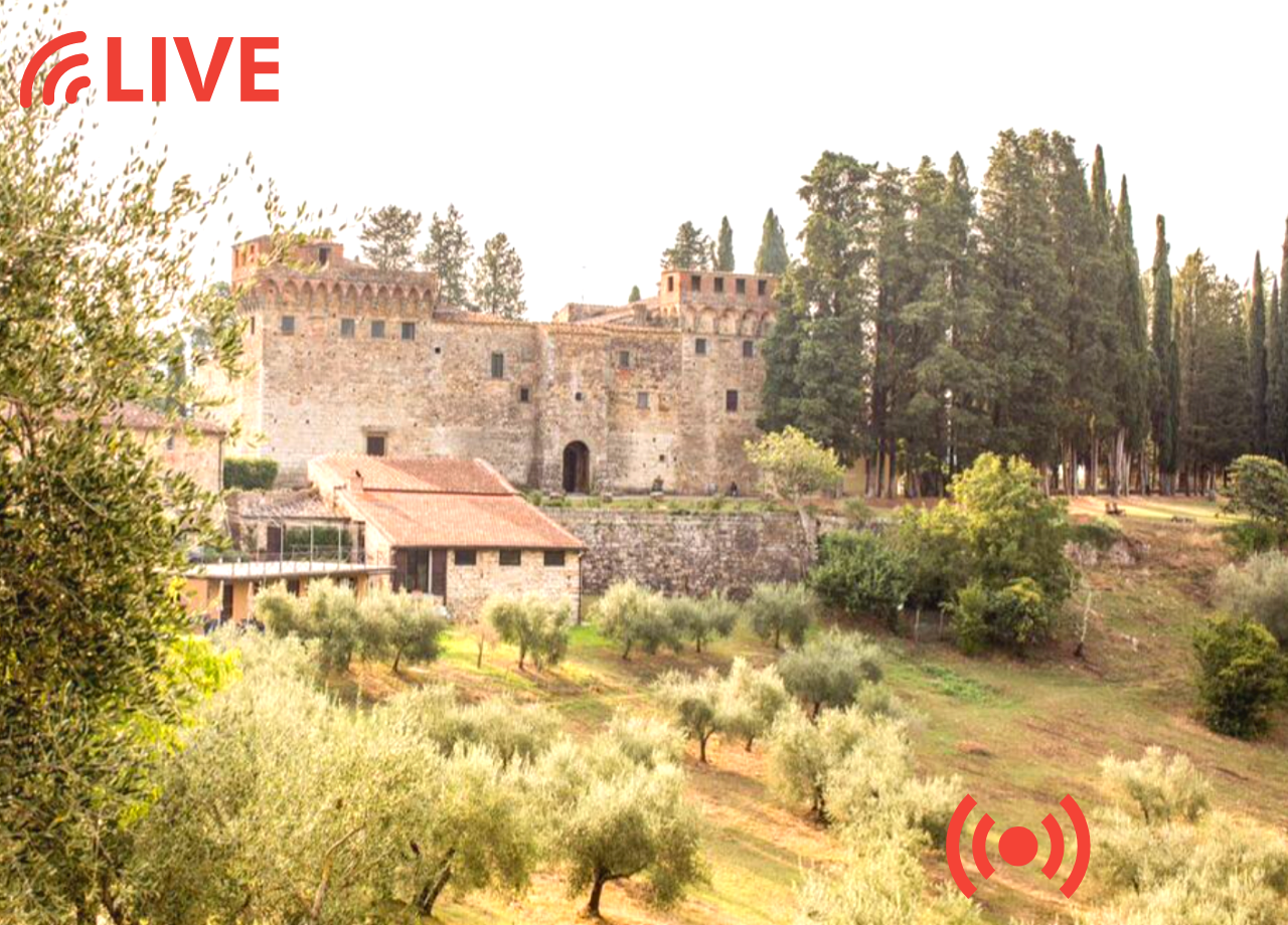 FLASH SEASONAL WEBINAR "Tuscan Green Gold - LIVE Olive Oil Making at the Castello di Trebbio"