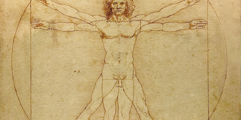FOR_THUMBNAIL_vitruvian_man FOR_THUMBNAIL_vitruvian_man