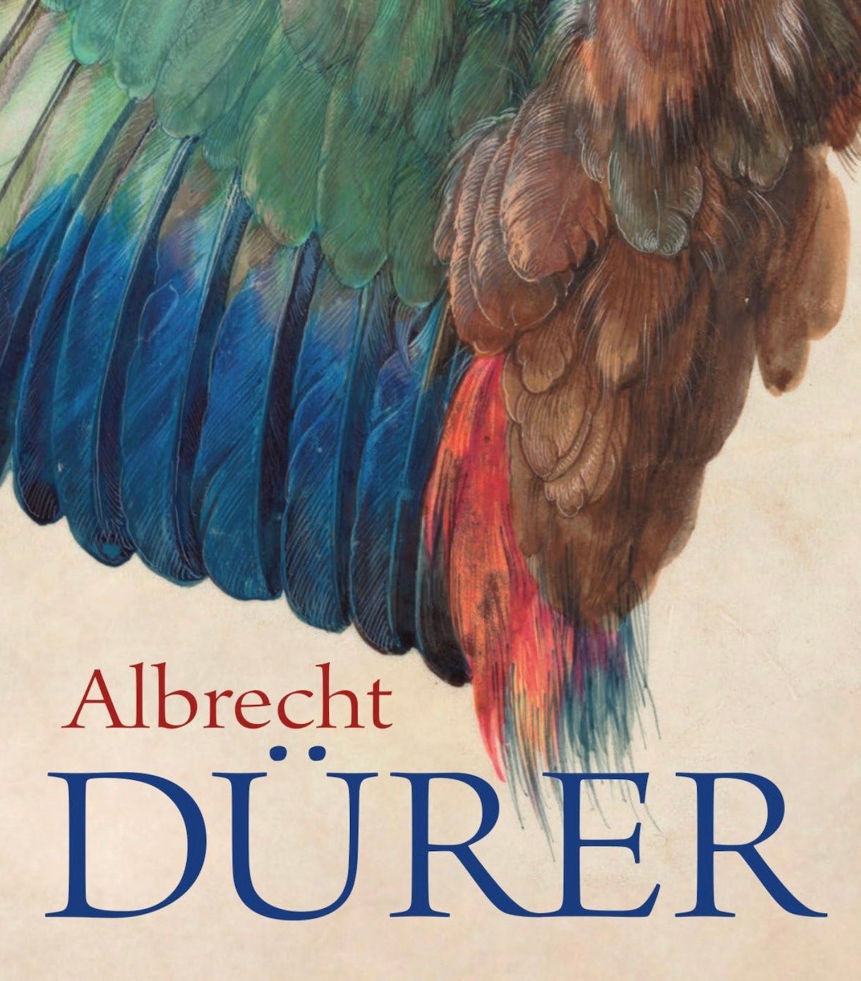 "Albrecht Dürer" by Christof Metzger