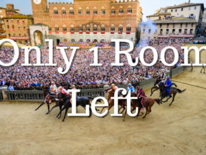 TRAVEL PROGRAM | "Palio Program - July 2027"