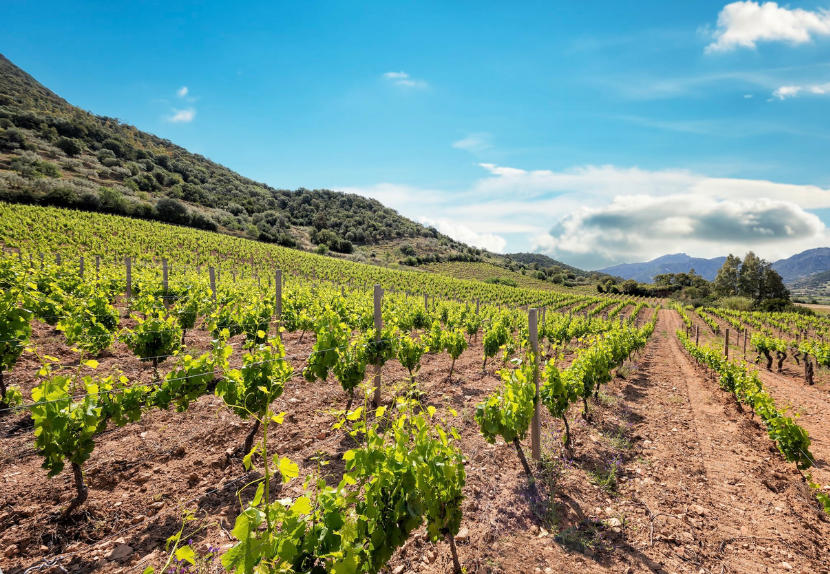 TRAVEL PROGRAM | "Secrets of Sardinia 2027" - Image 16