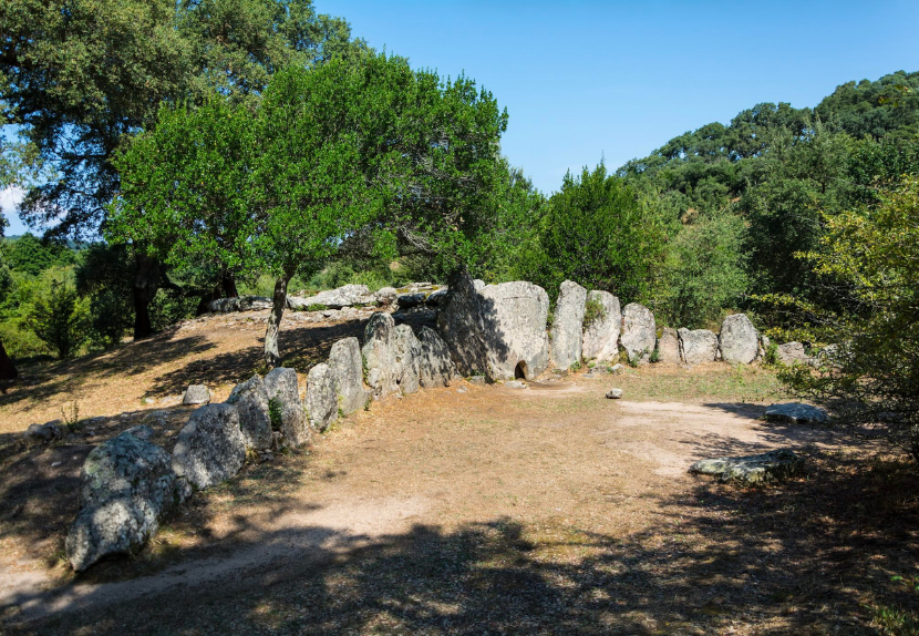 TRAVEL PROGRAM | "Secrets of Sardinia 2027" - Image 23