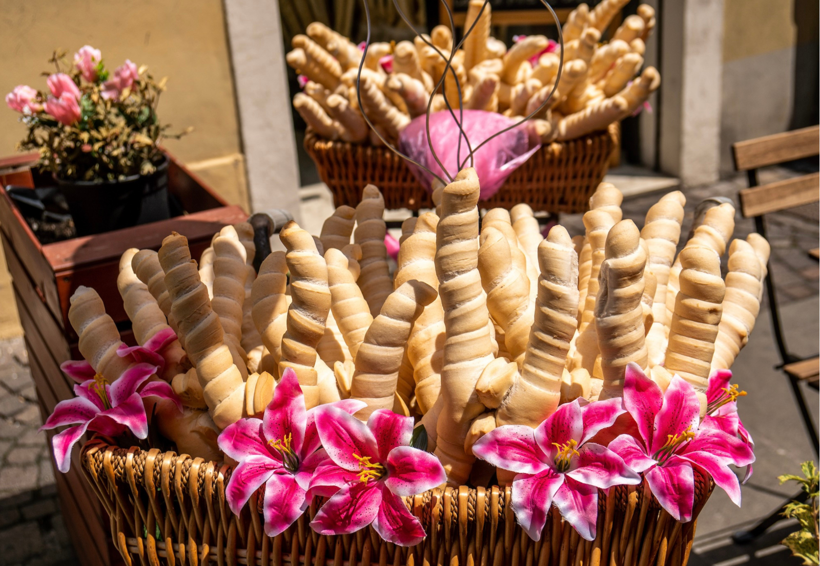 Pane (Coppia) Ferrarese