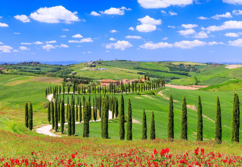 WEST PALM BEACH, FLORIDA - RENAISSANCE ACADEMY 2027 | "Timeless Tuscany" - Image 9