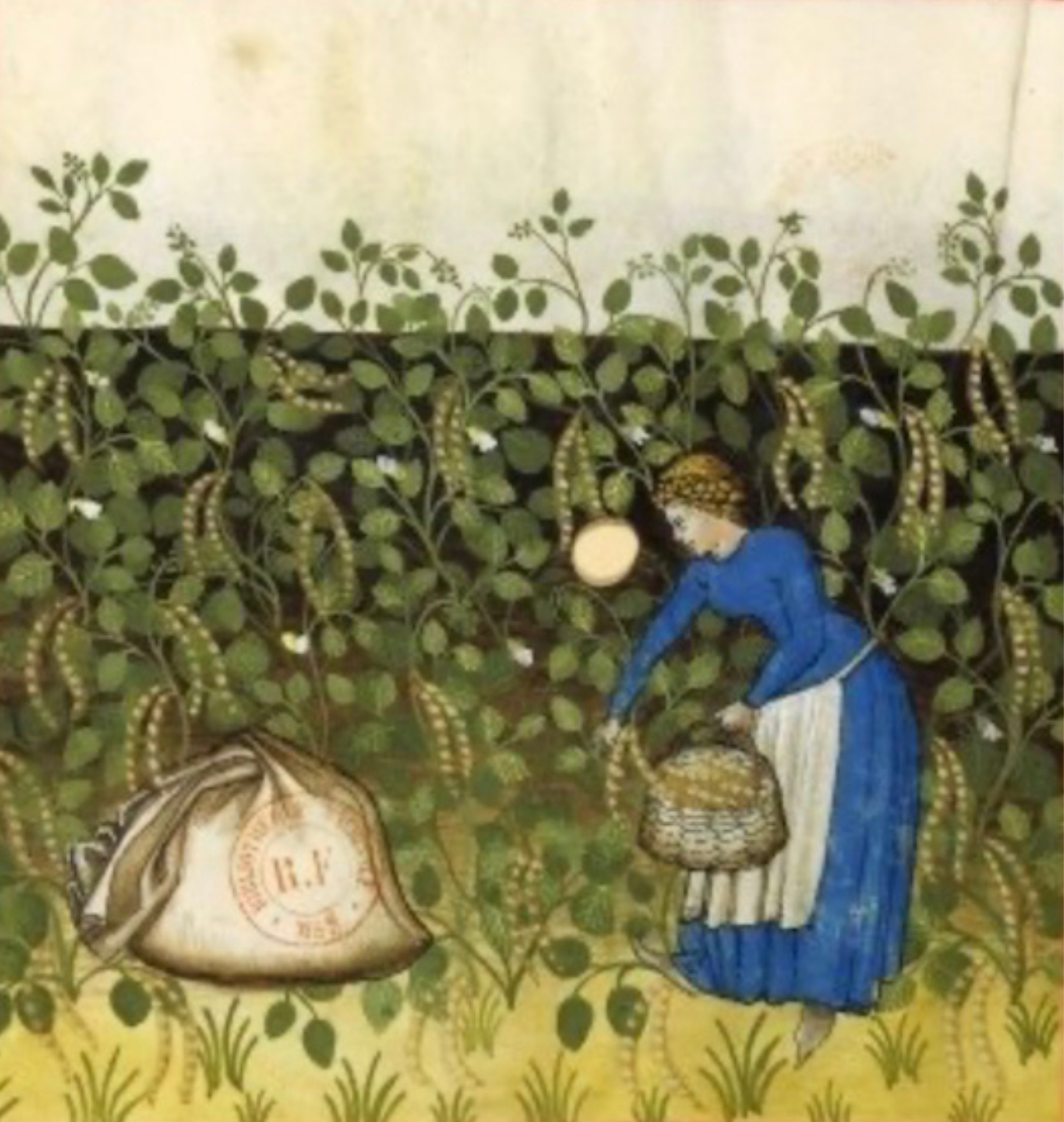 Labors & Pastimes - Image 3