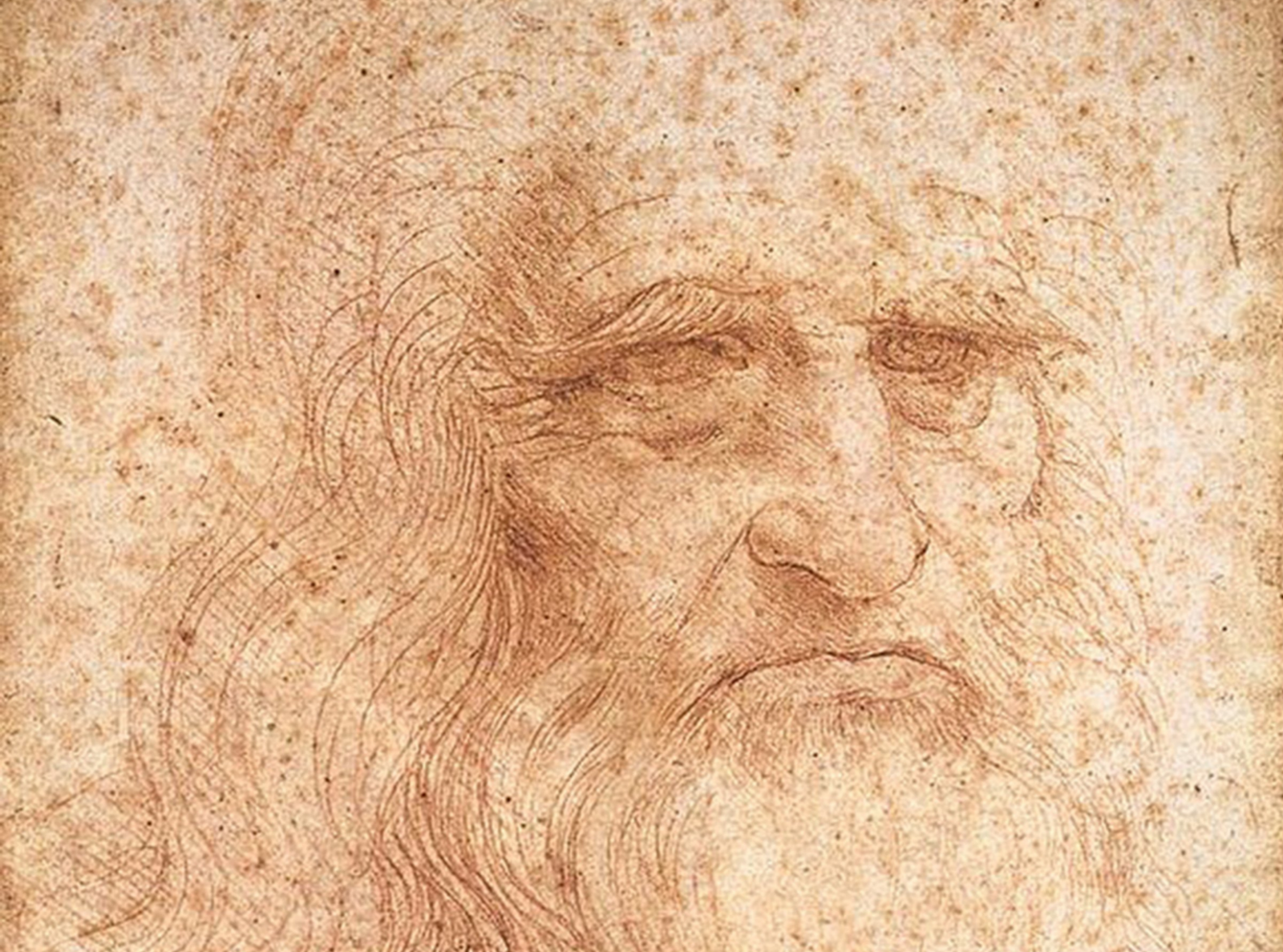 Leonardo da Vinci - Image 2