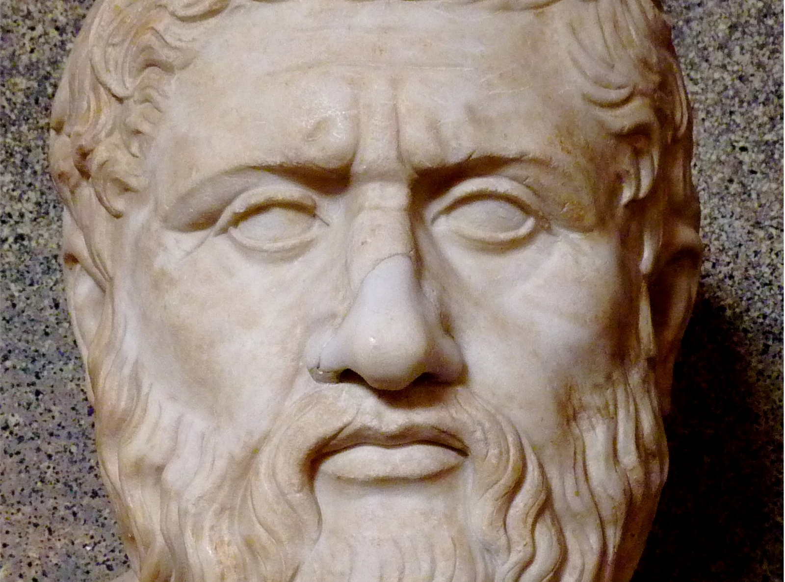 Plato - Image 2