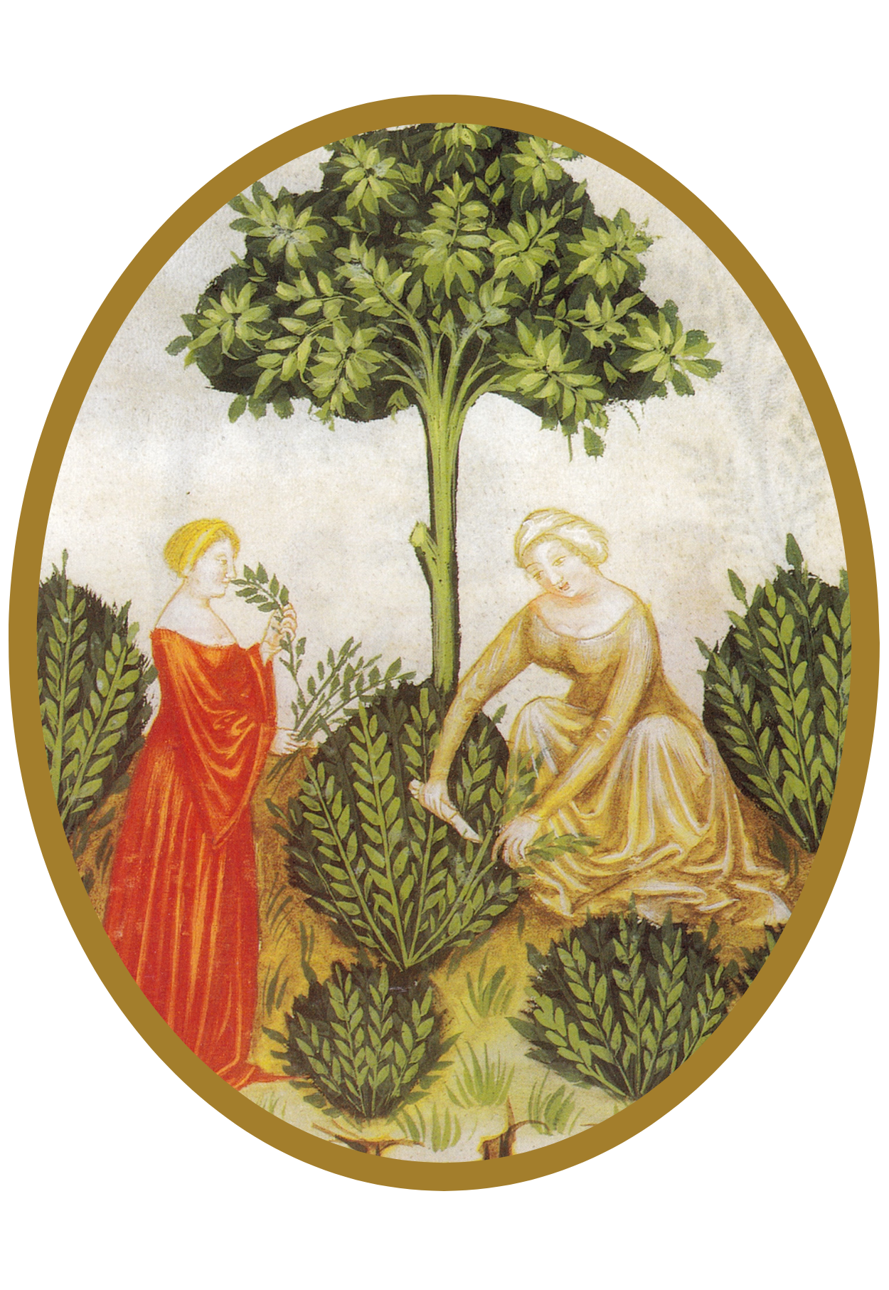 Medicinal - Image 2